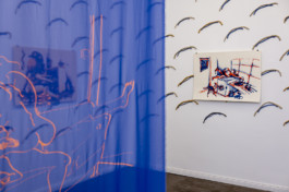 Shira Orion