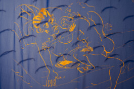 Shira Orion