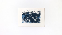 Shira Orion